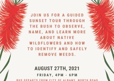 Wildflowers vs Weeds Workshop