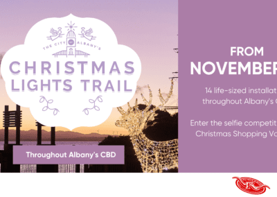 Christmas Lights Trail