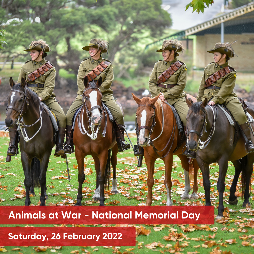 photographer-2-re-17